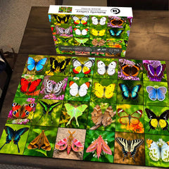 Butterfly Gallery Jigsaw Puzzle 1000 Pieces