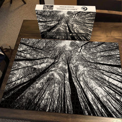 Puzzles Jigsaw Forêt Magique 1000 Pièces