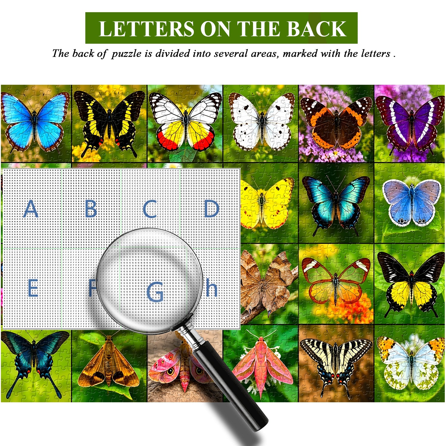 Butterfly Gallery Jigsaw Puzzle 1000 Pieces