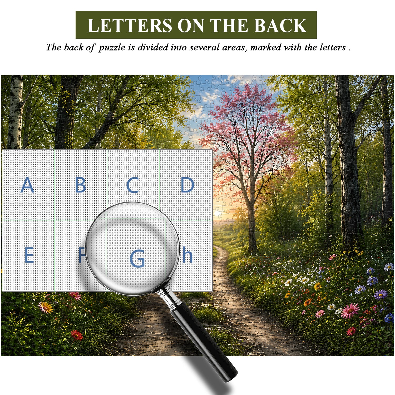 Sunlit Forest Path Puzzle 1000 Teile