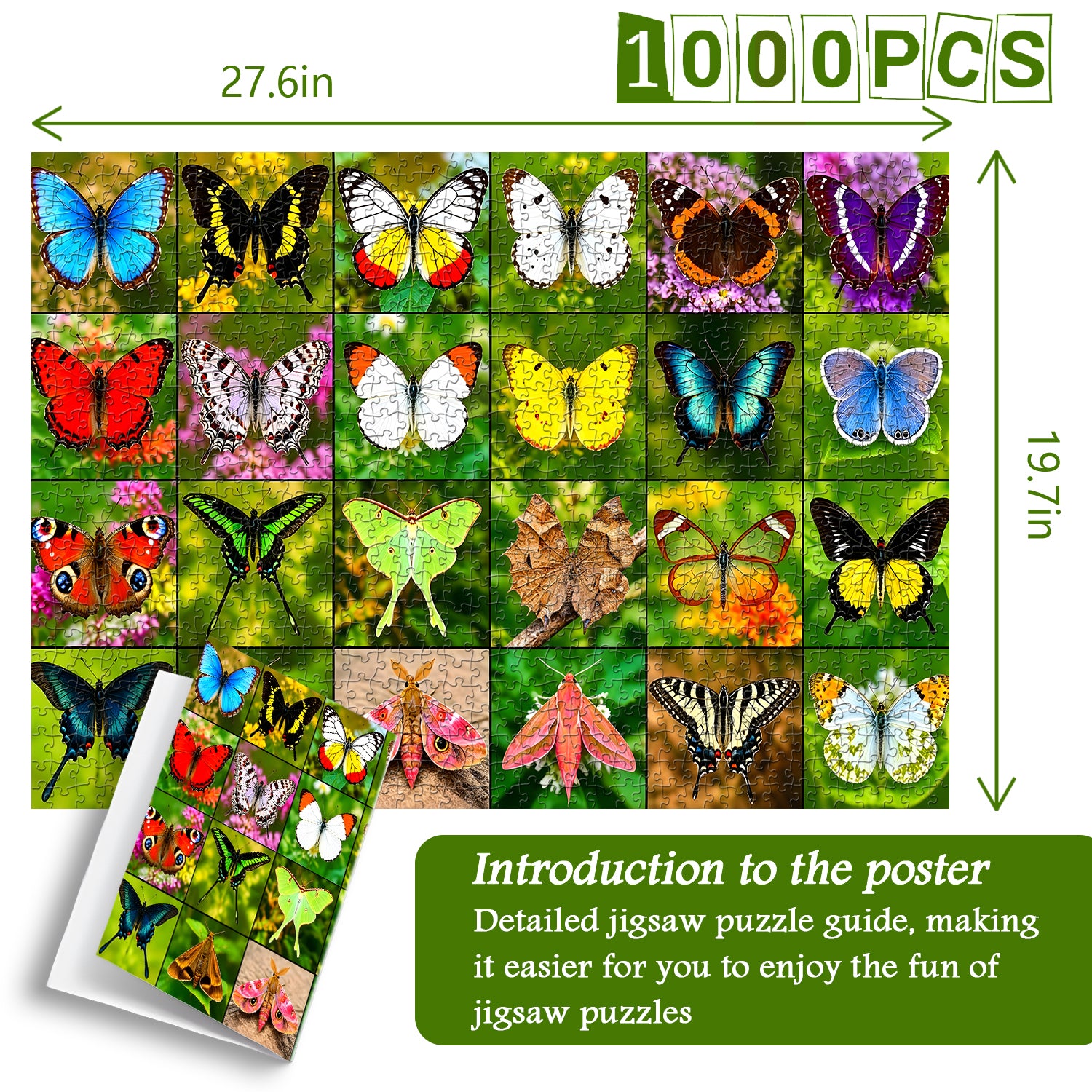 Butterfly Gallery Jigsaw Puzzle 1000 Pieces