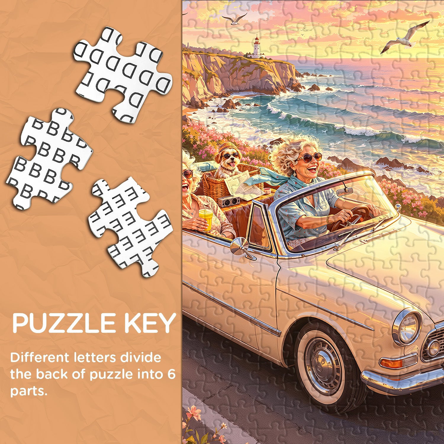Coastal Joyride Jigsaw Puzzle 1000 Pieces