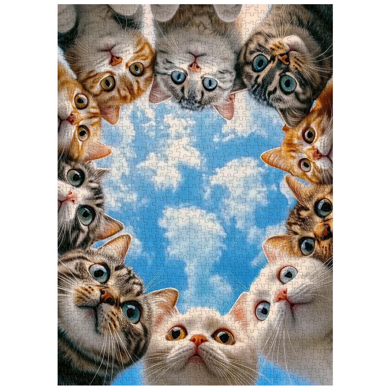 Cat Cat Watching Jigsaw Puzzle 1000 Pieces
