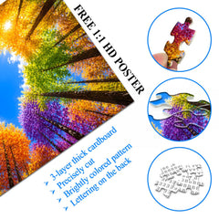 Puzzle Foresta Arcobaleno 1000 Pezzi