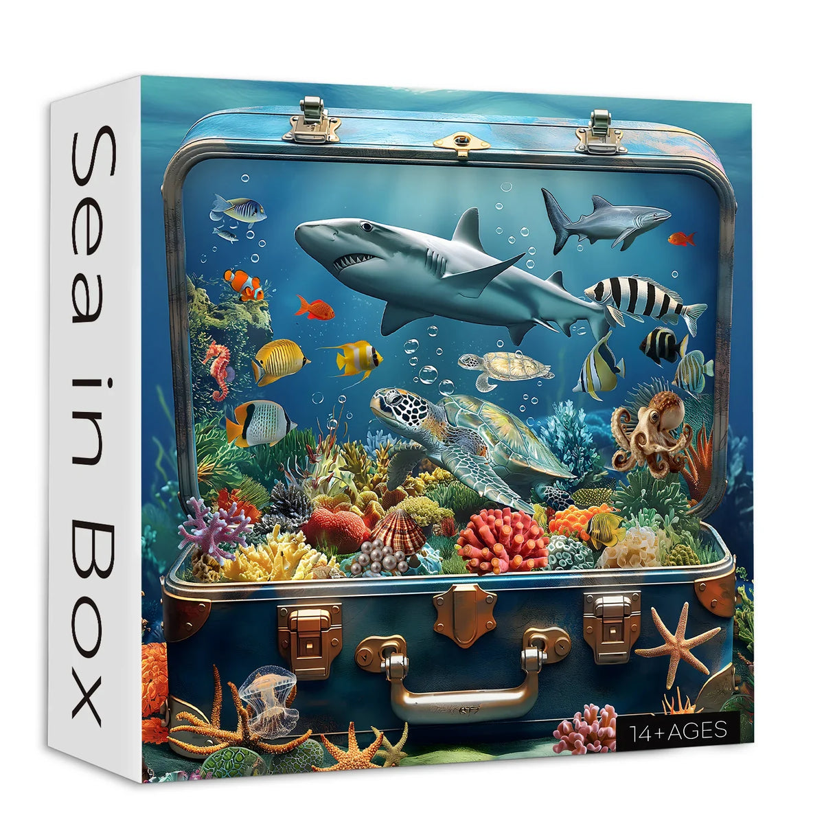 Sea in Box Jigsaw Puzzle 1000 Pieces