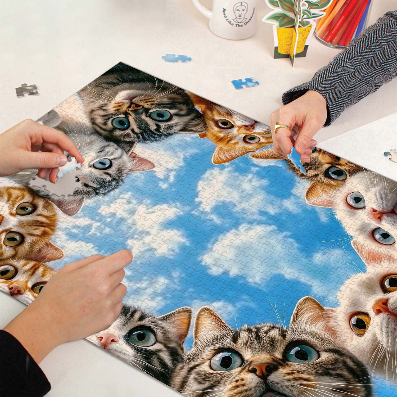 Cat Cat Watching Jigsaw Puzzle 1000 Pieces