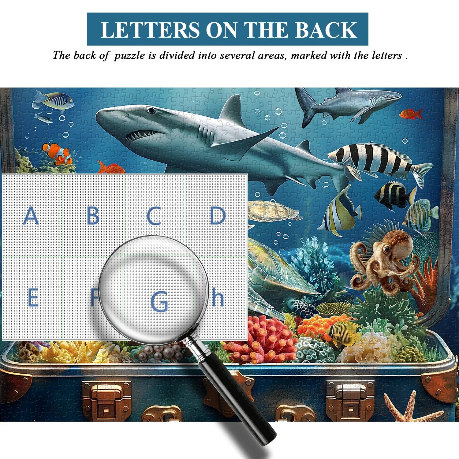 Sea in Box Jigsaw Puzzle 1000 Pieces