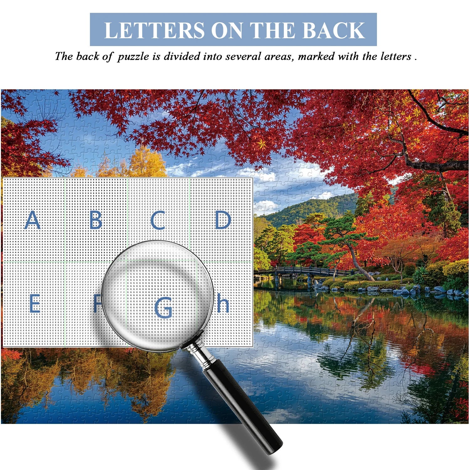 Autumn Melody Jigsaw Puzzle 1000 piezas