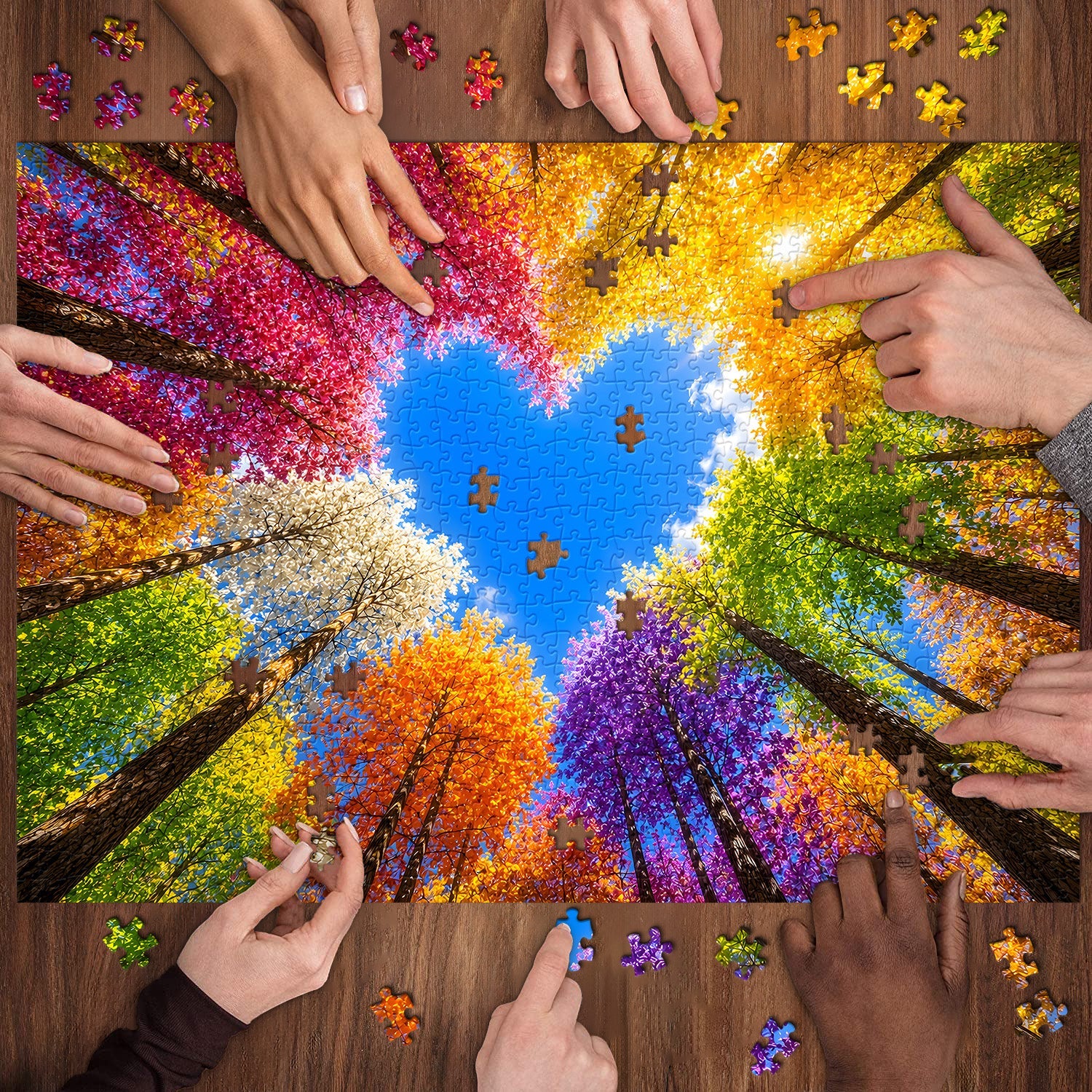 Puzzle Foresta Arcobaleno 1000 Pezzi