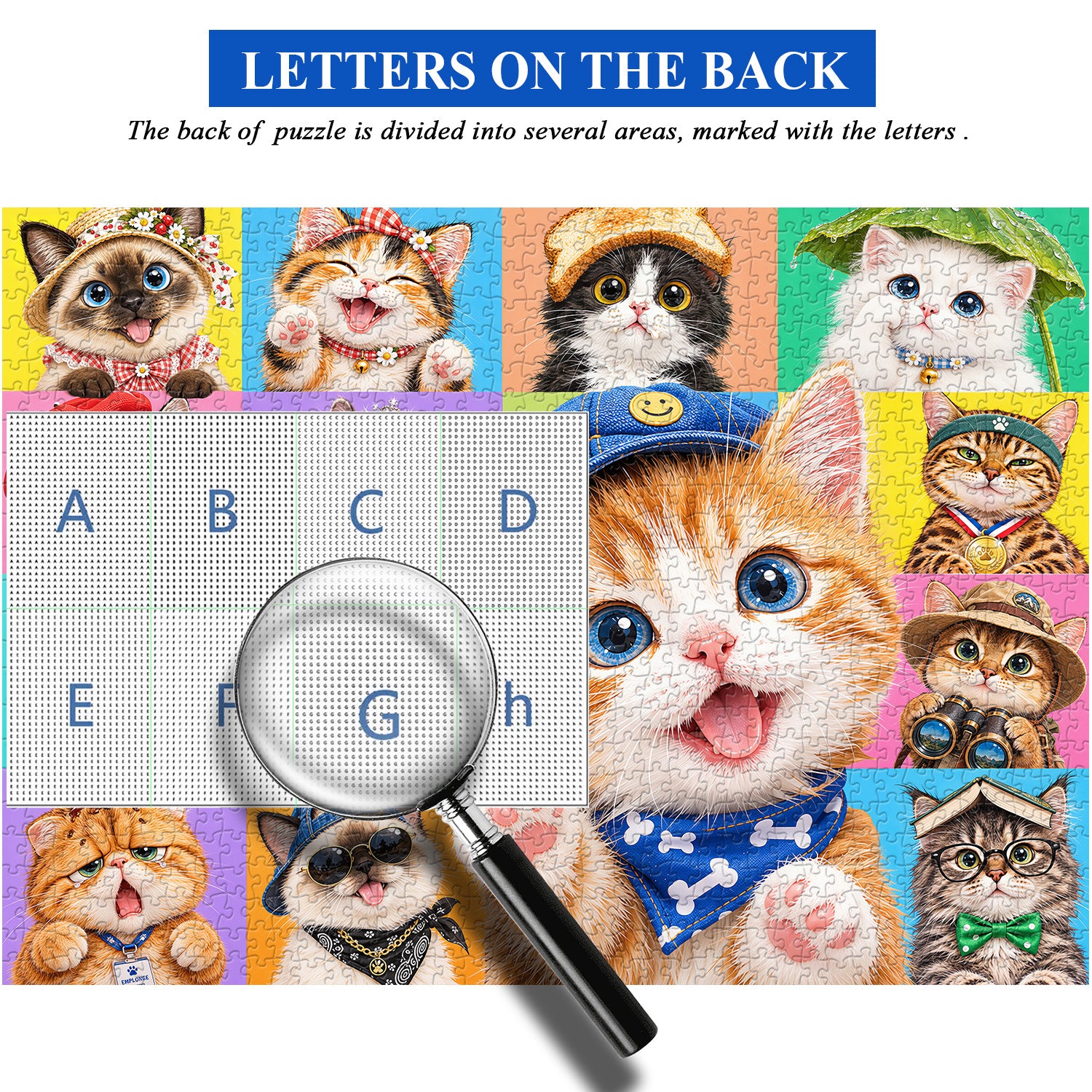 Kitten Gallery Jigsaw Puzzle 1000 Pieces