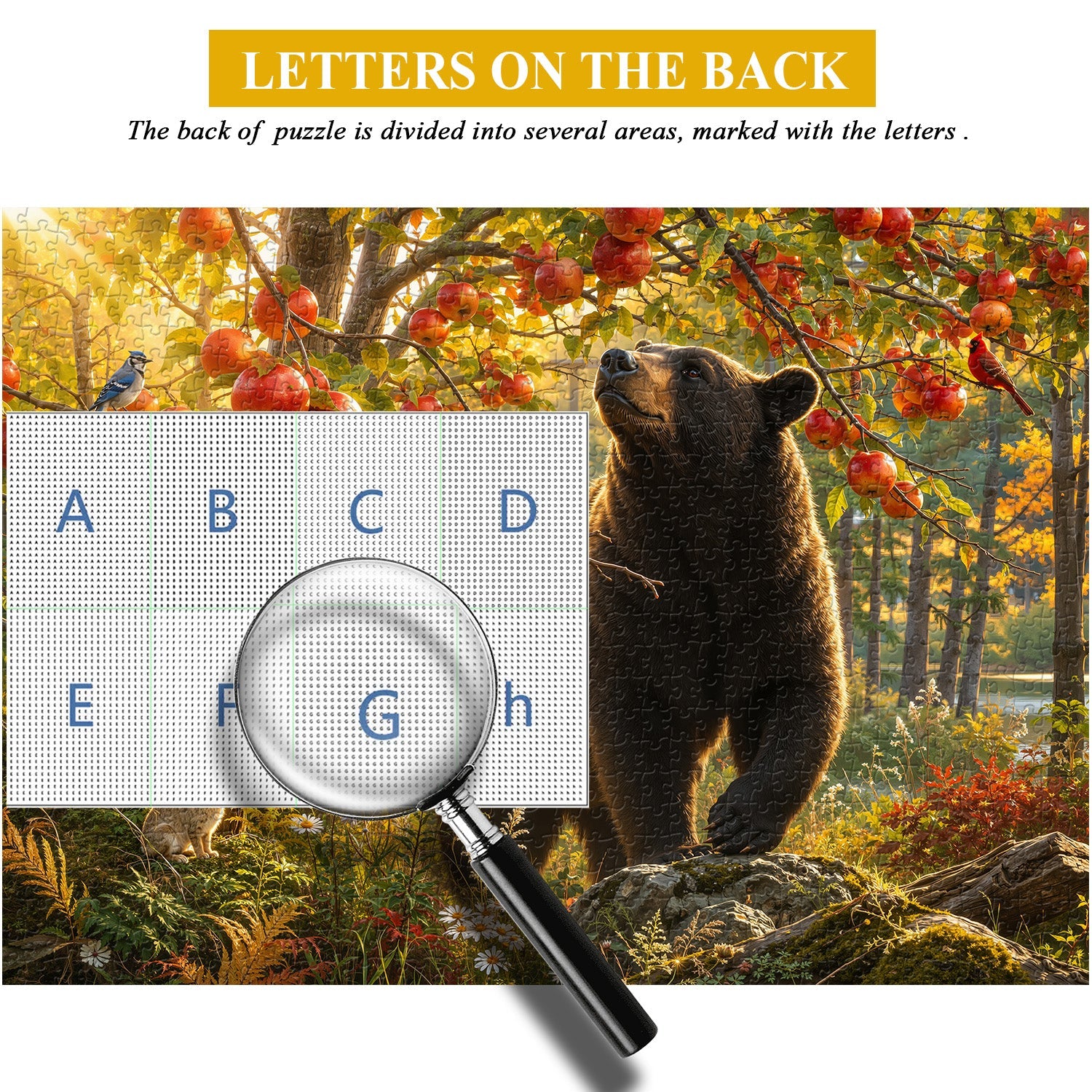 Sunlit Woodland Bear Jigsaw Puzzle 1000 Pieces