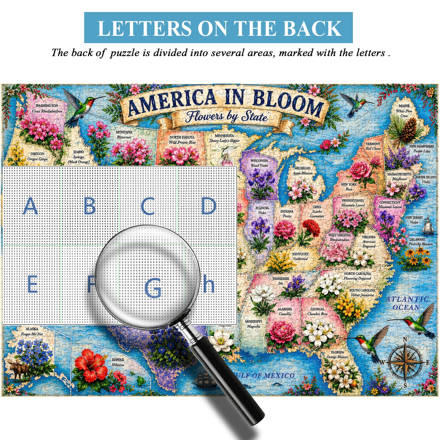 Puzzle America in Fiore 1000 Pezzi
