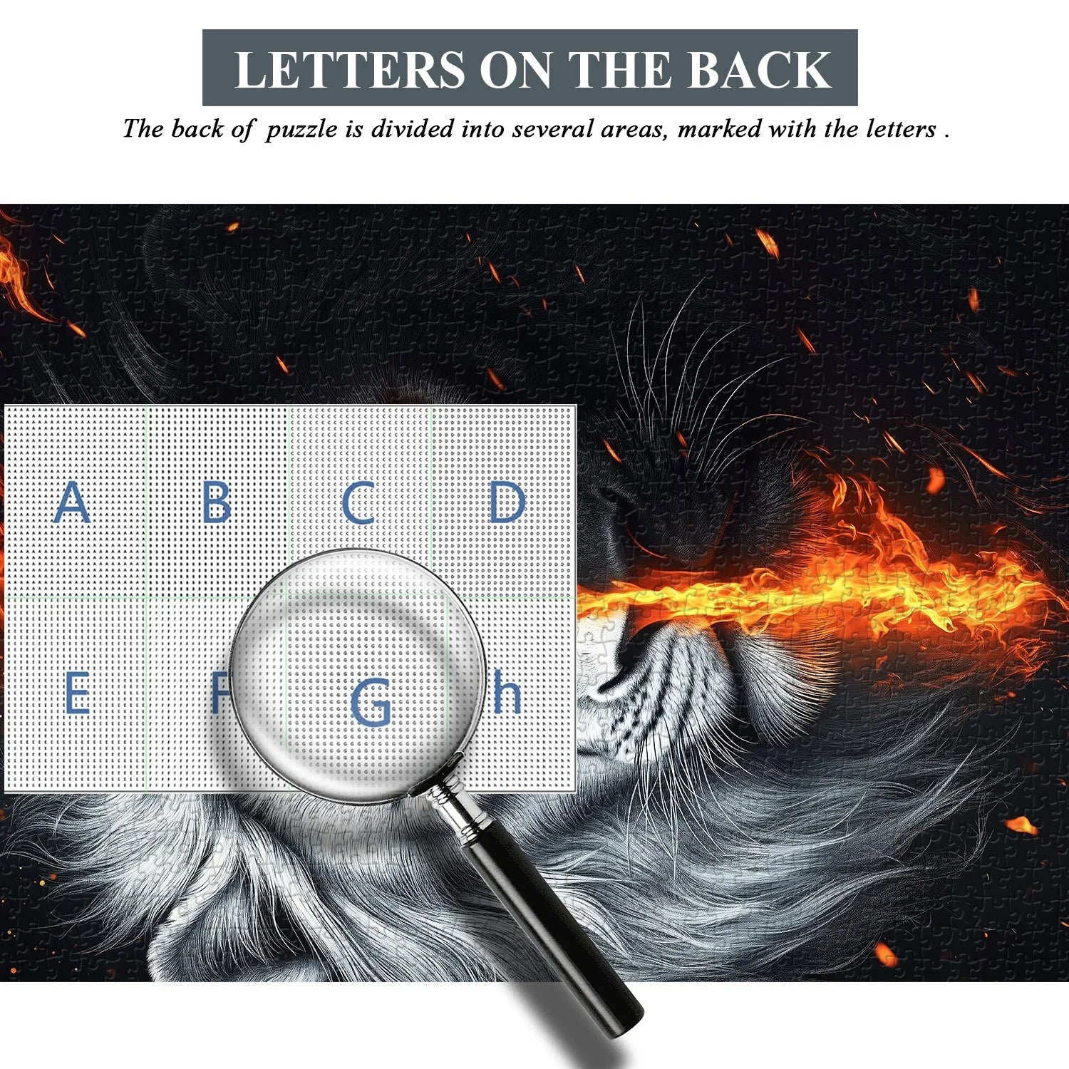 Blaze Boundary Jigsaw Puzzle 1000 Pieces