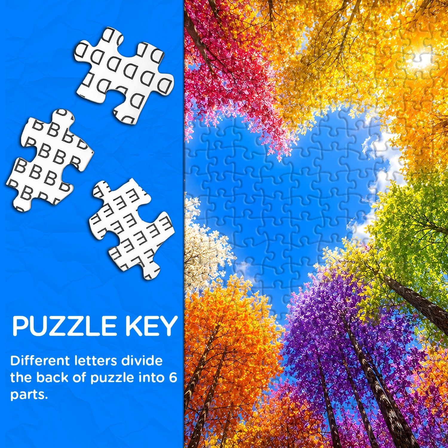 Puzzle Foresta Arcobaleno 1000 Pezzi