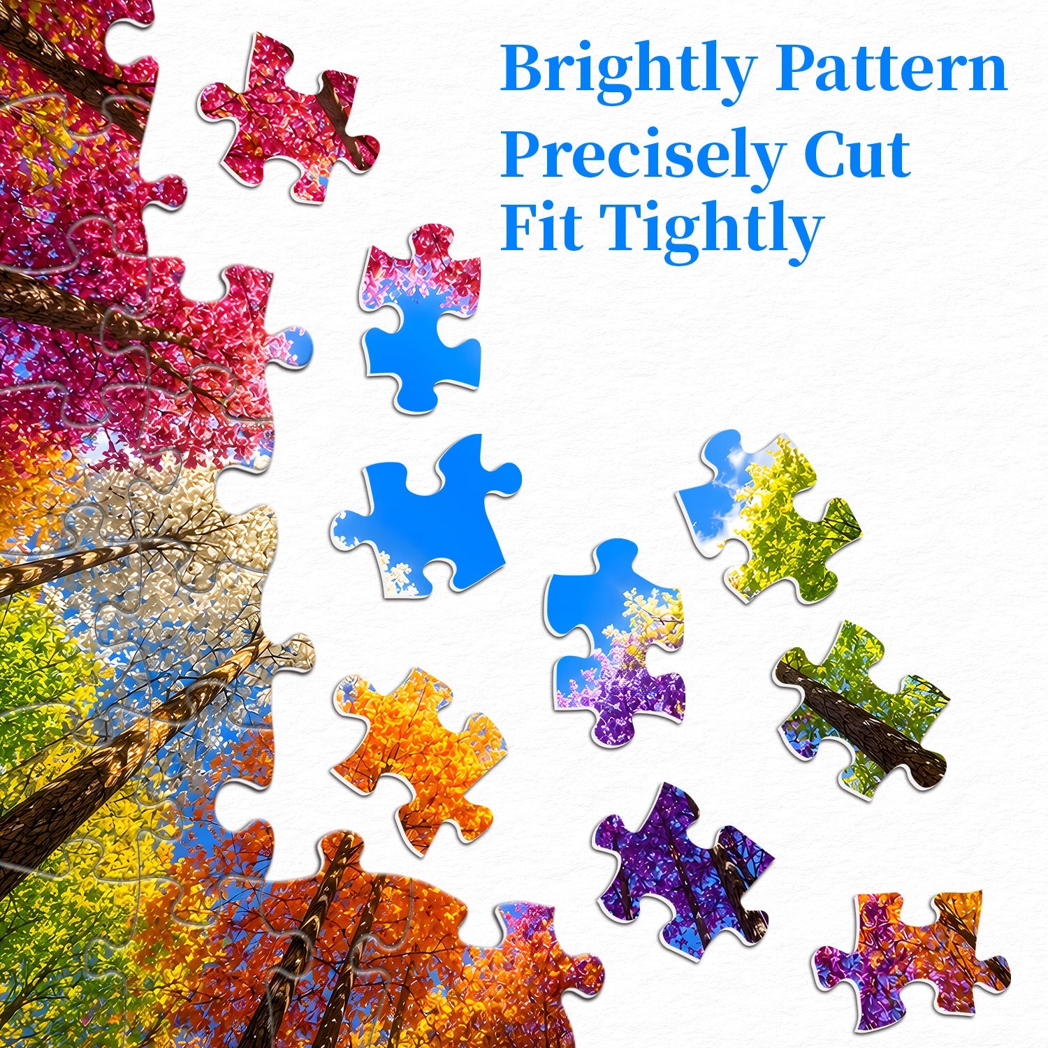 Puzzle Foresta Arcobaleno 1000 Pezzi