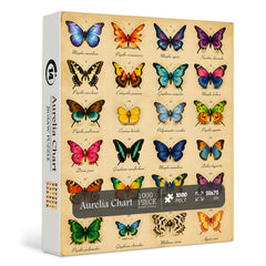 Aurelia Chart Jigsaw Puzzle 1000 Pieces