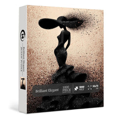 Brilliant élégant puzzle de puzzle 1000 pièces