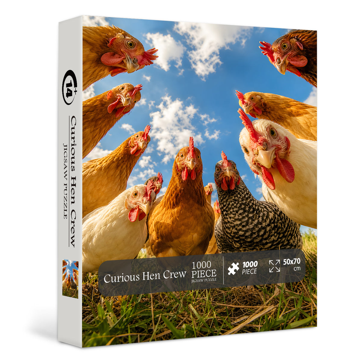 Curious Hen Crew Puzzle 1000 Teile