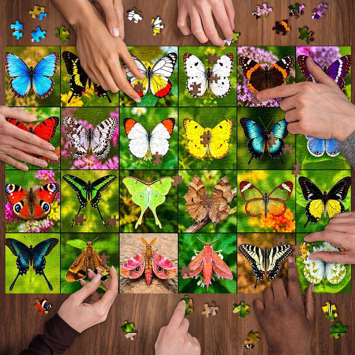 Butterfly Gallery Jigsaw Puzzle 1000 Pieces