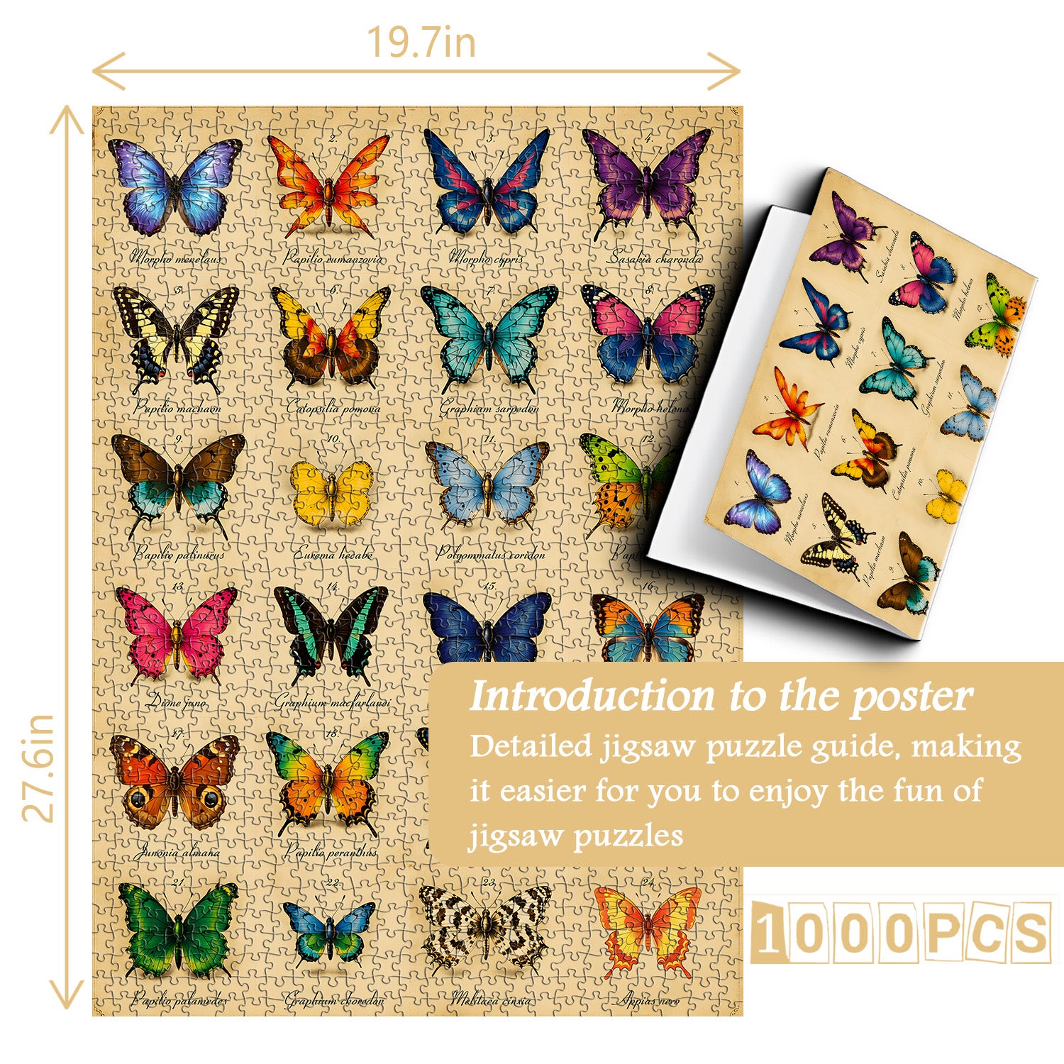 Aurelia Chart Jigsaw Puzzle 1000 Pieces