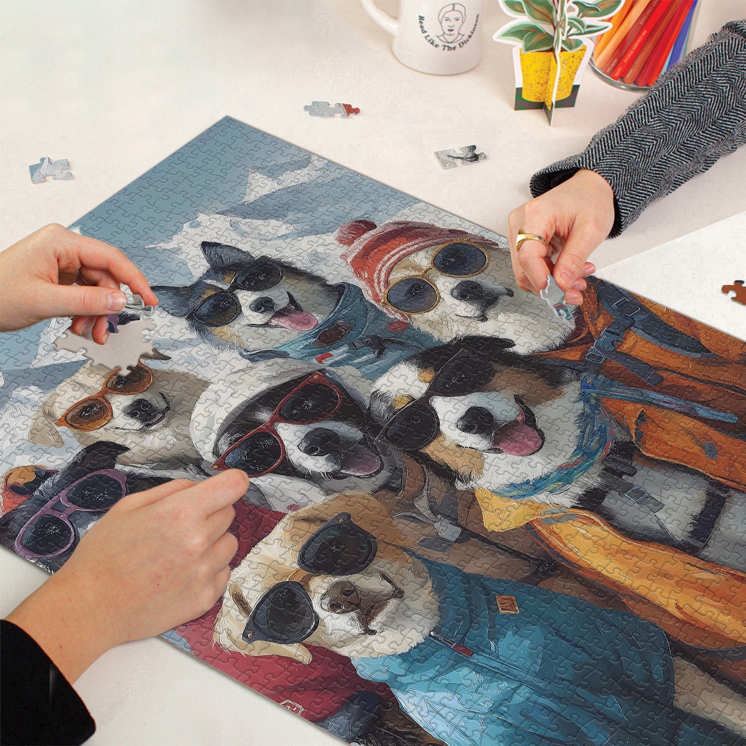 Équipe de ski dog puzzle 1000 pièces