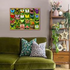 Butterfly Gallery Jigsaw Puzzle 1000 Pieces