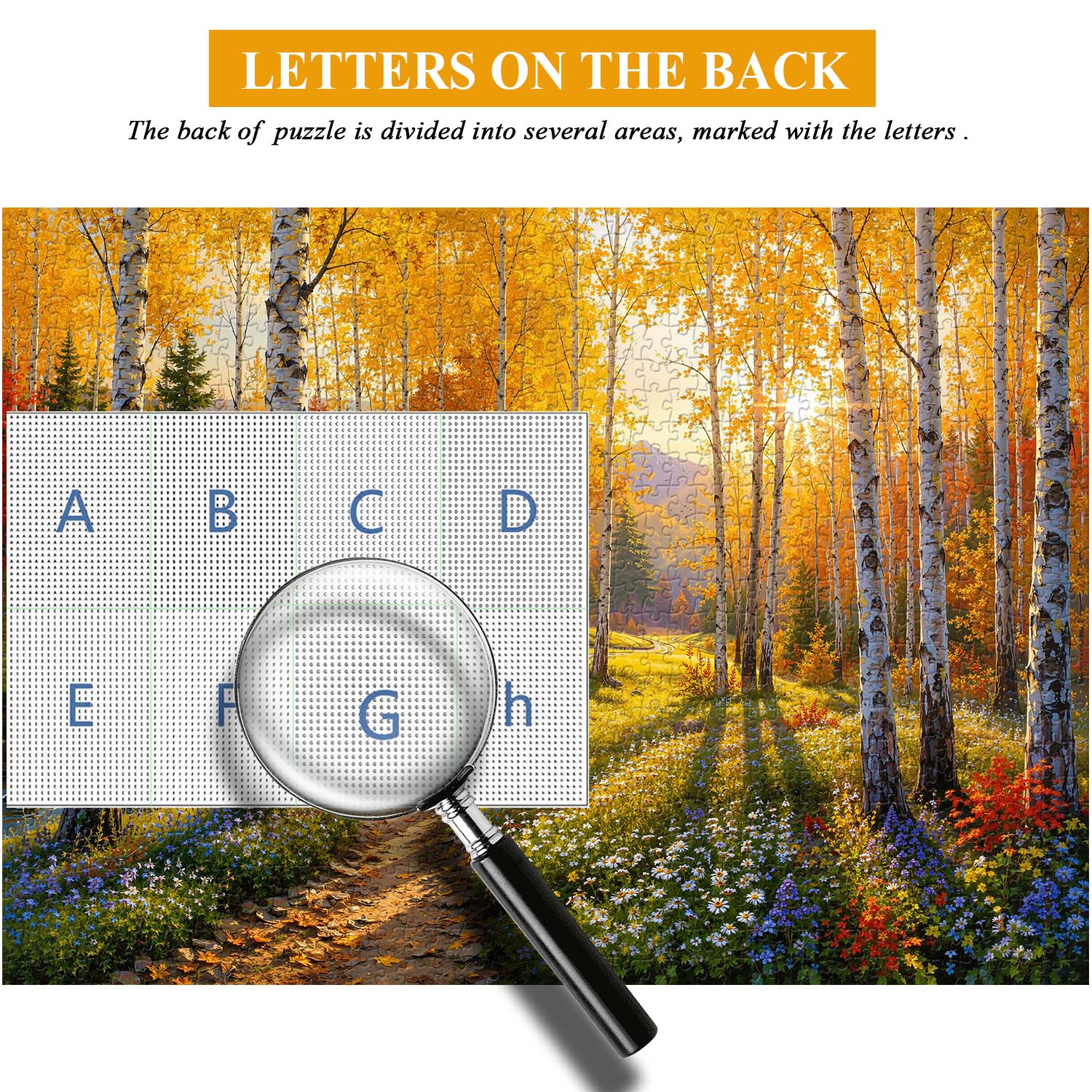 Fall Birch Stream Jigsaw Puzzle 1000 Pieces