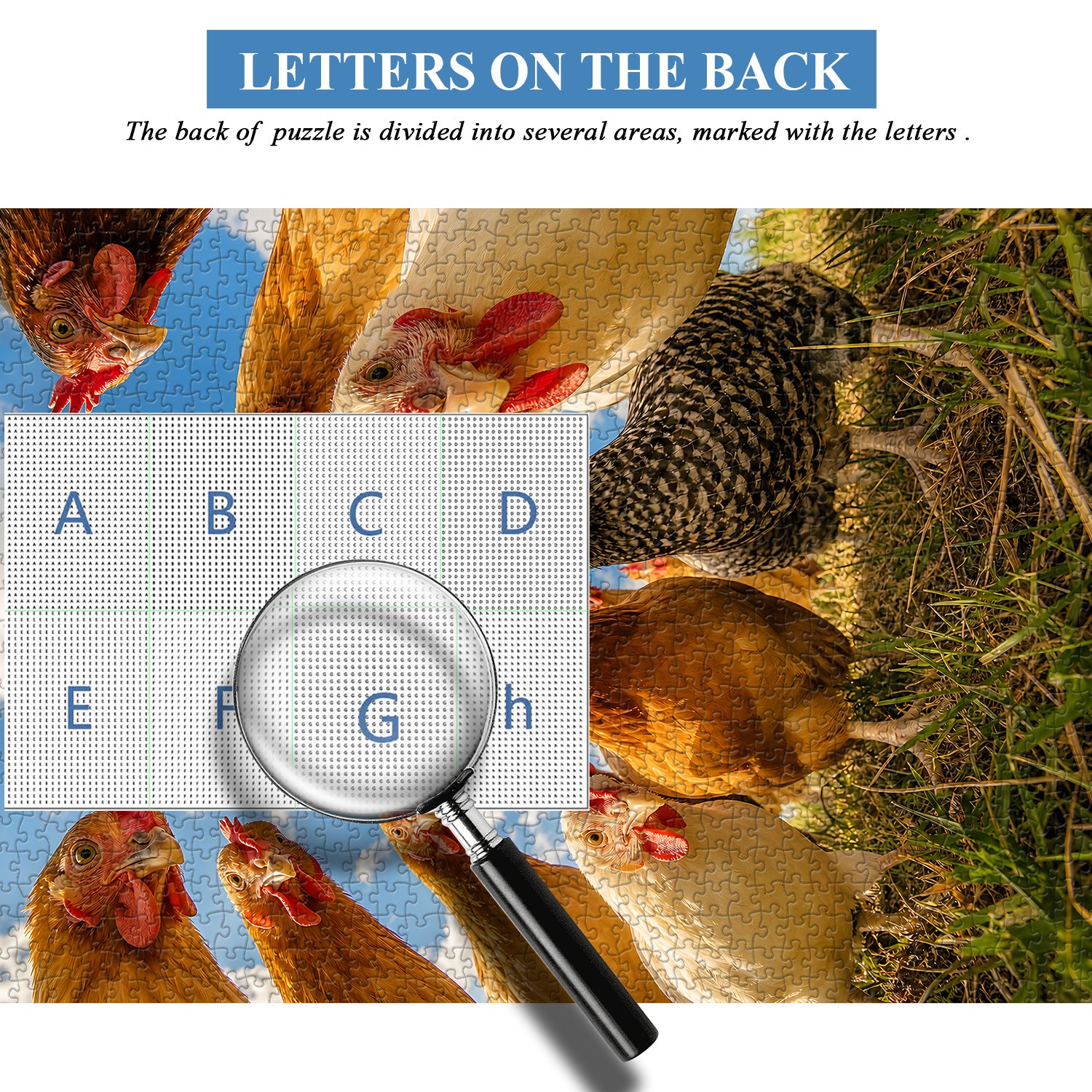 Curious Hen Crew Puzzle 1000 Teile