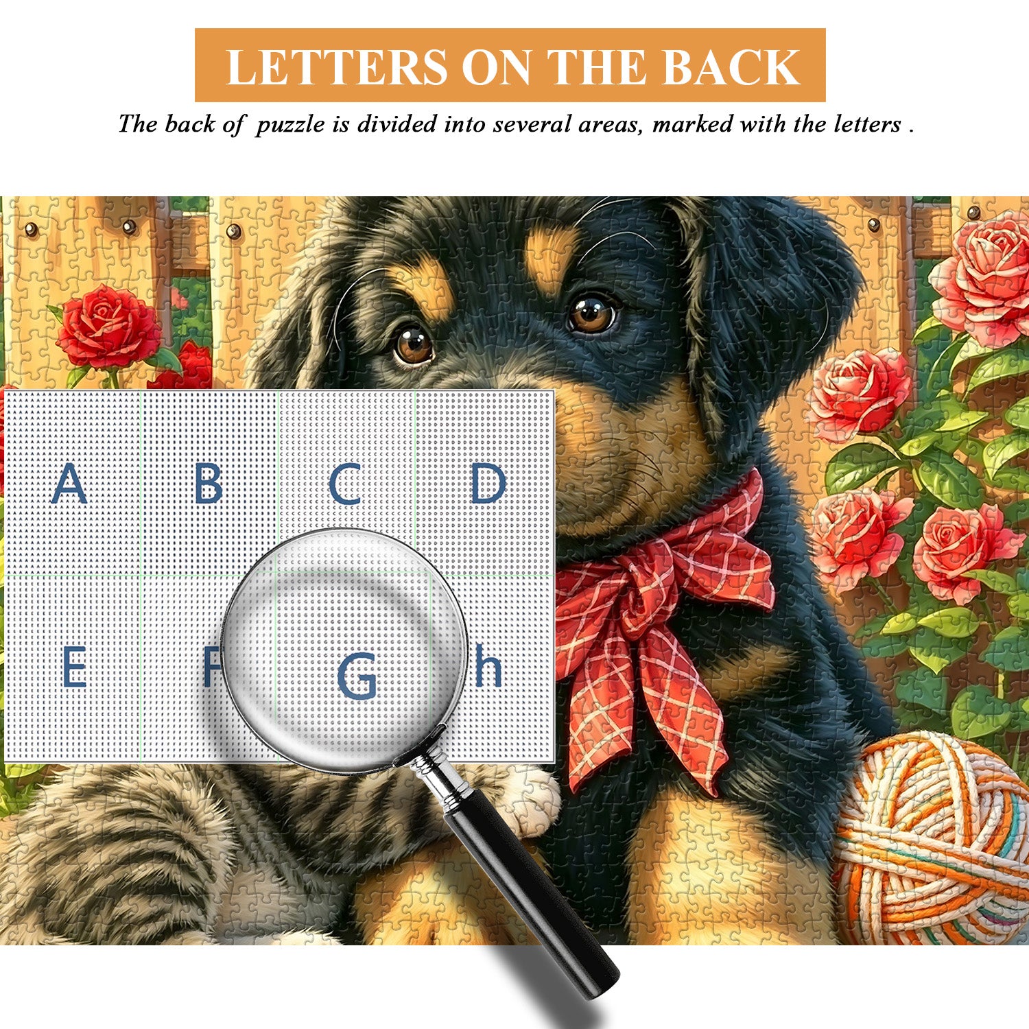 Cat and Dog Notes Jigsaw Puzzle 1000 Pieces