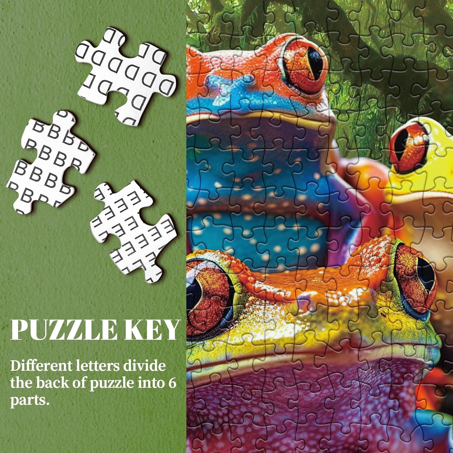 Colorful Frog Jigsaw Puzzle 1000 Pieces