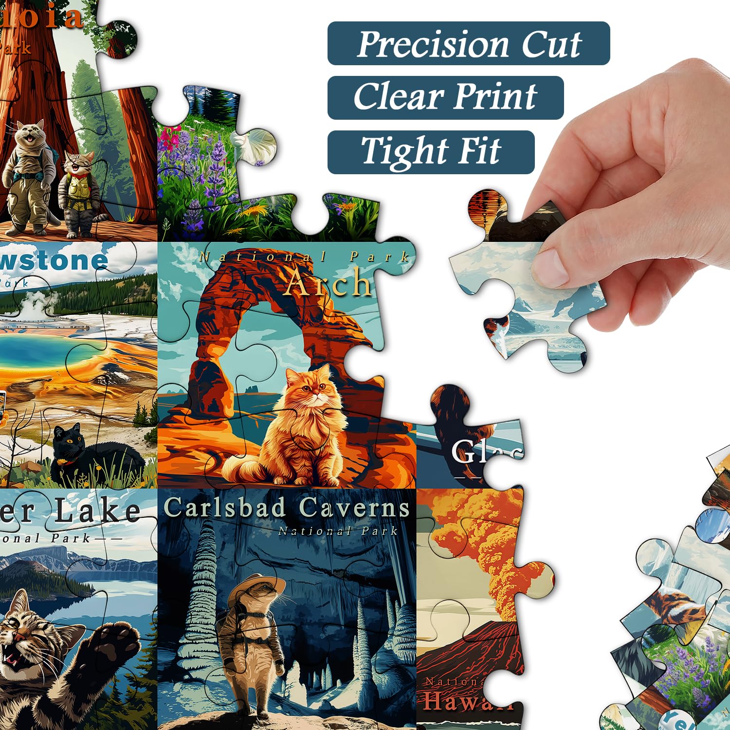 Cats National Parks Jigsaw Puzzle 1000 Pieces