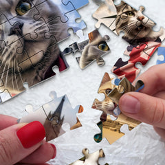 Selfie Cat Animal Jigsaw Puzzle 1000 Pieces