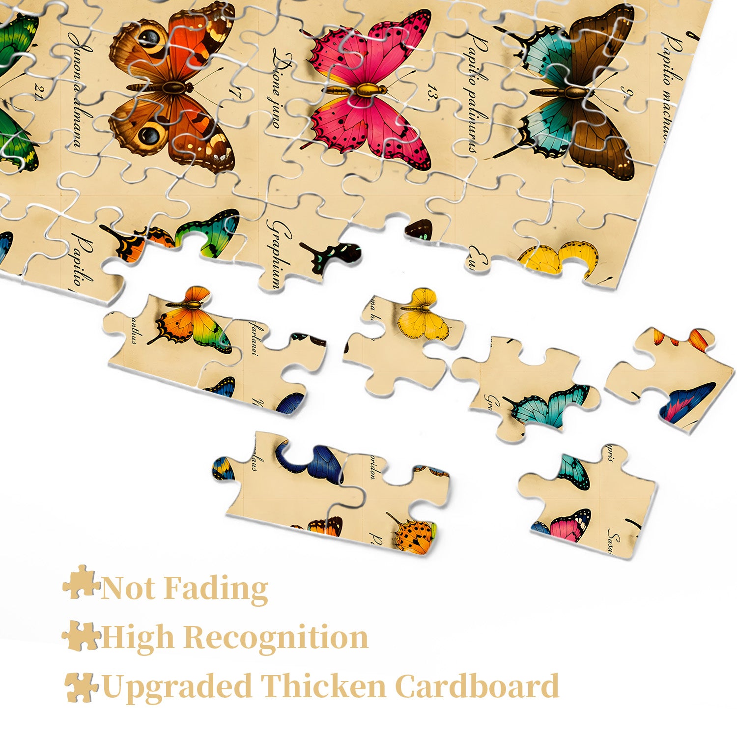 Aurelia Chart Jigsaw Puzzle 1000 Pieces