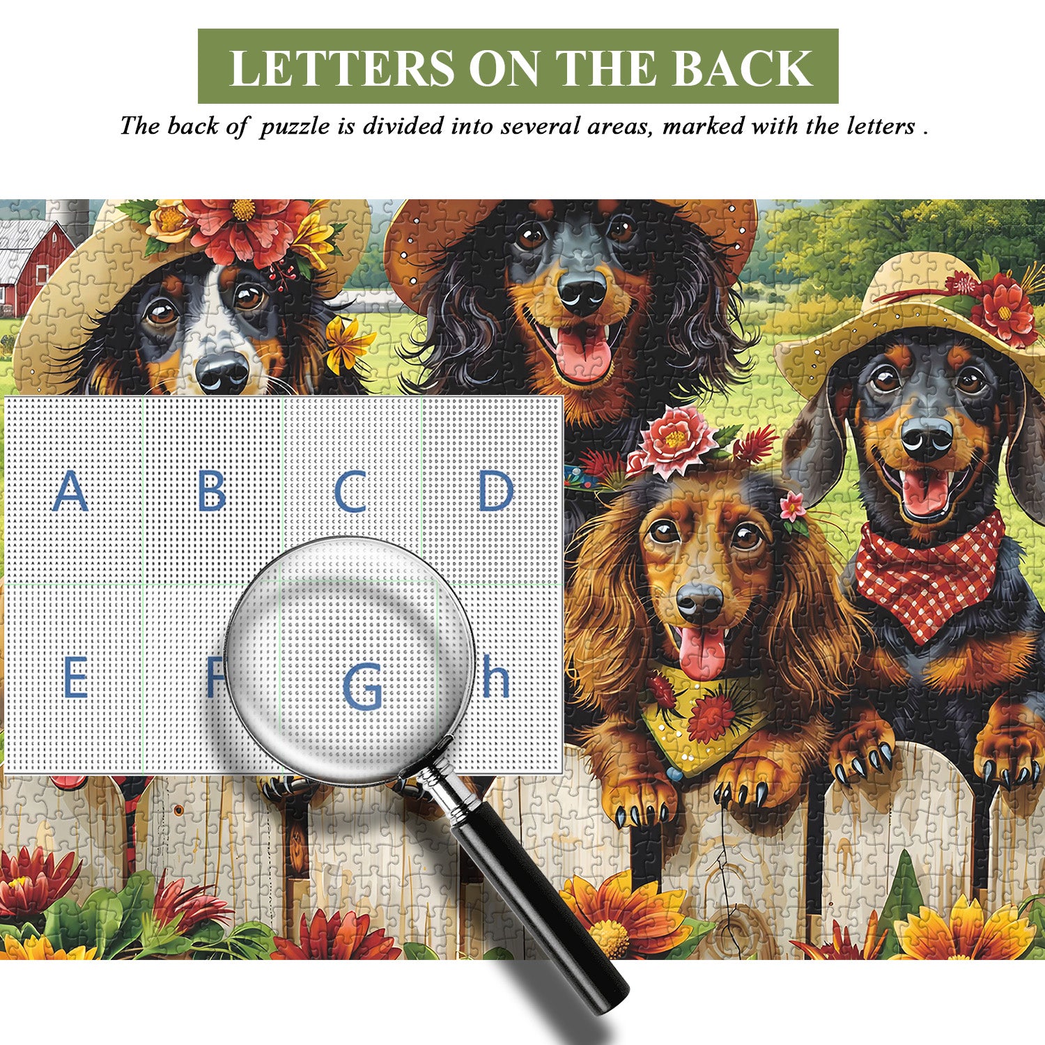 Dachshund Family Jigsaw Puzzle 1000 Pieces