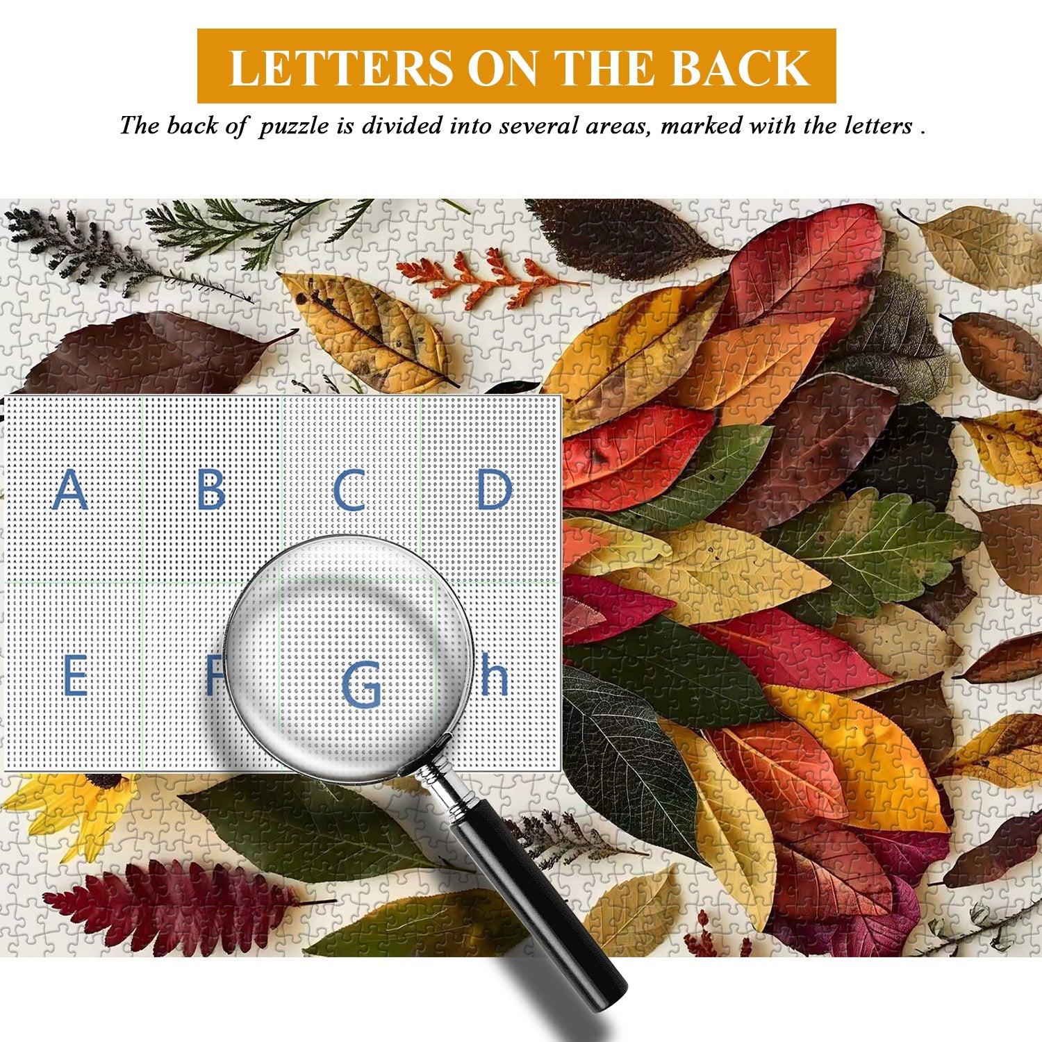 Puzzle Nature's Muse 1000 pièces