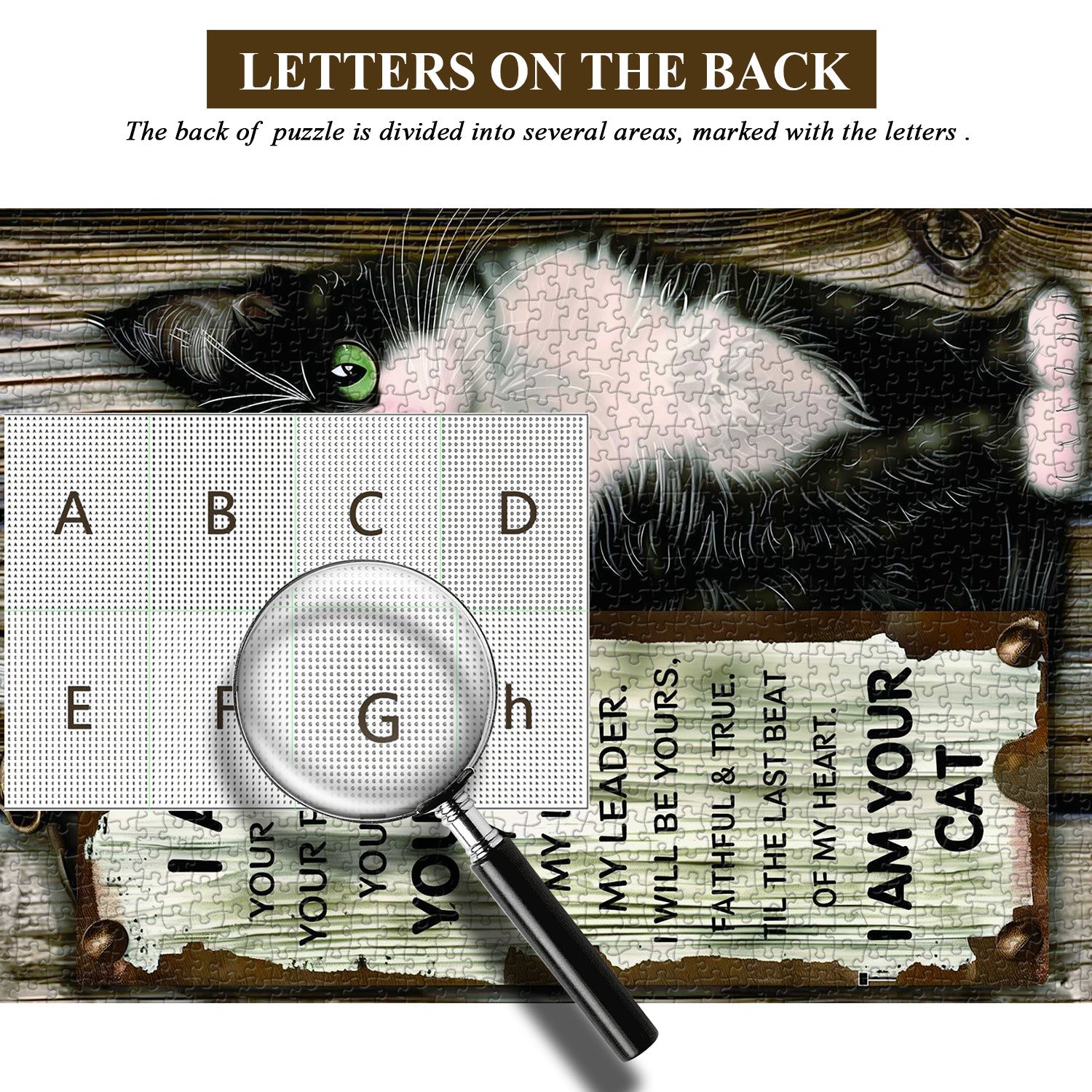 Cat's statement Jigsaw Puzzle 1000 Pieces