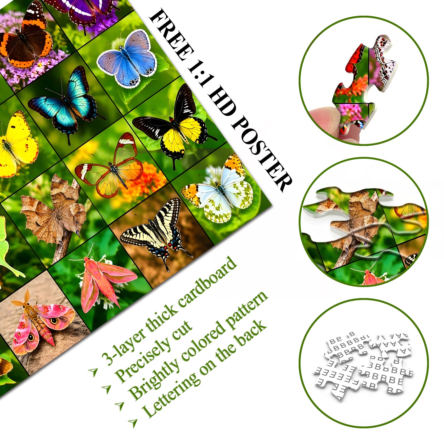 Butterfly Gallery Jigsaw Puzzle 1000 Pieces