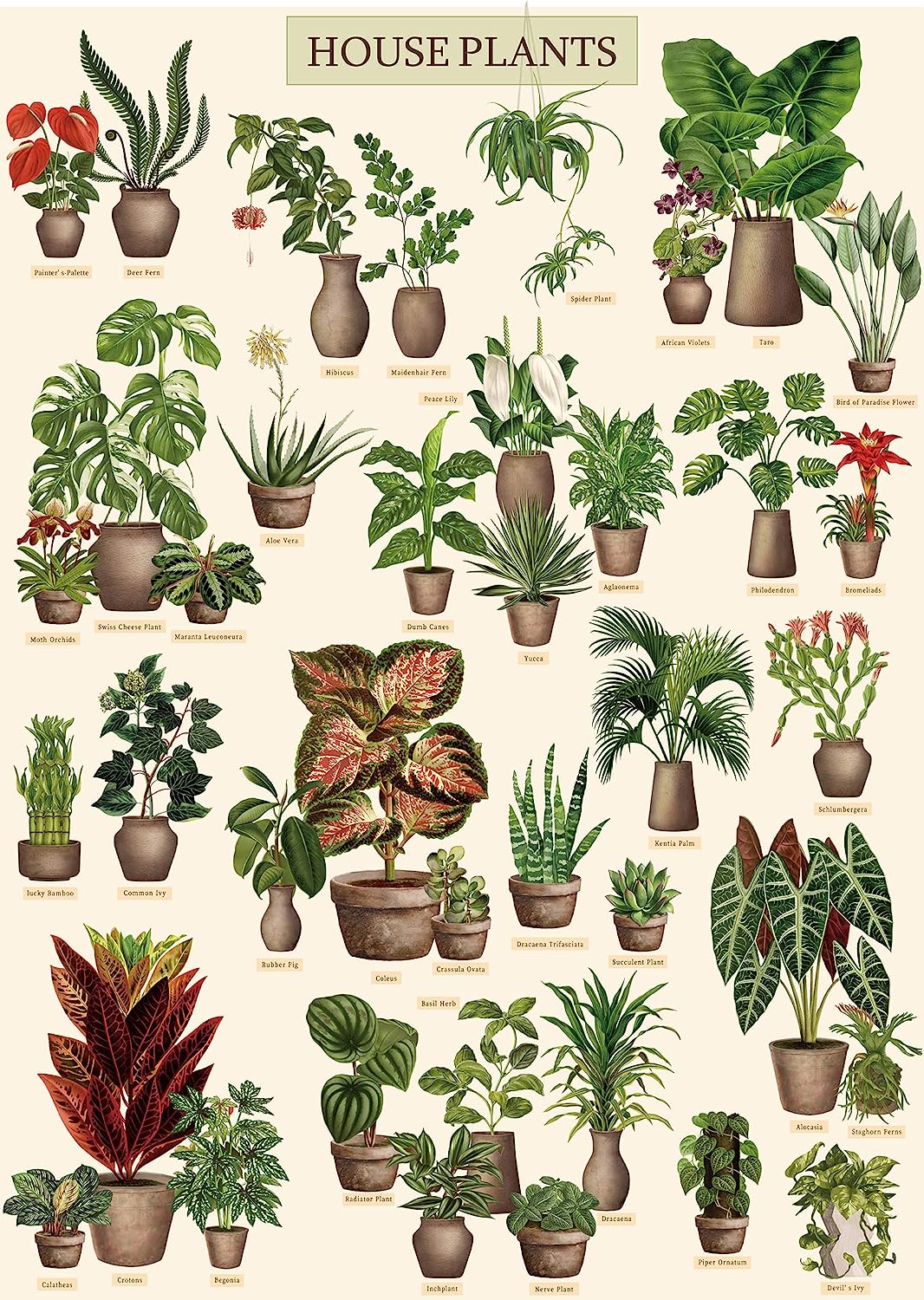 Pickforu® Botany Succulent House Plant Jigsaw Puzzle 1000 pièces
