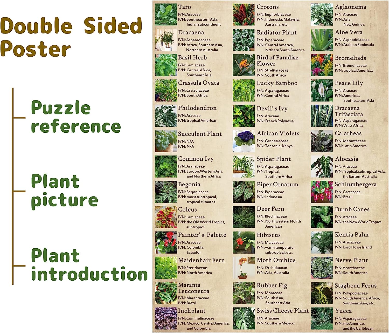 Pickforu® Botany Succulent House Plant Jigsaw Puzzle 1000 Pieces