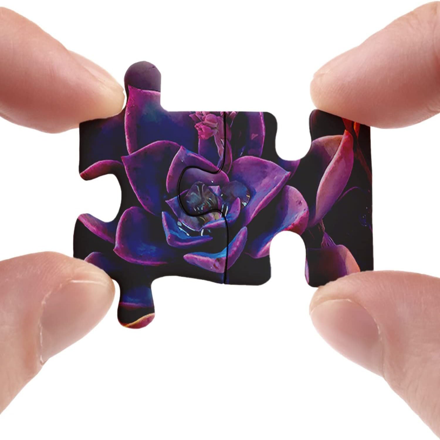 Pickforu® Impossible Purple Succulent Jigsaw Puzzle 1000 Pieces