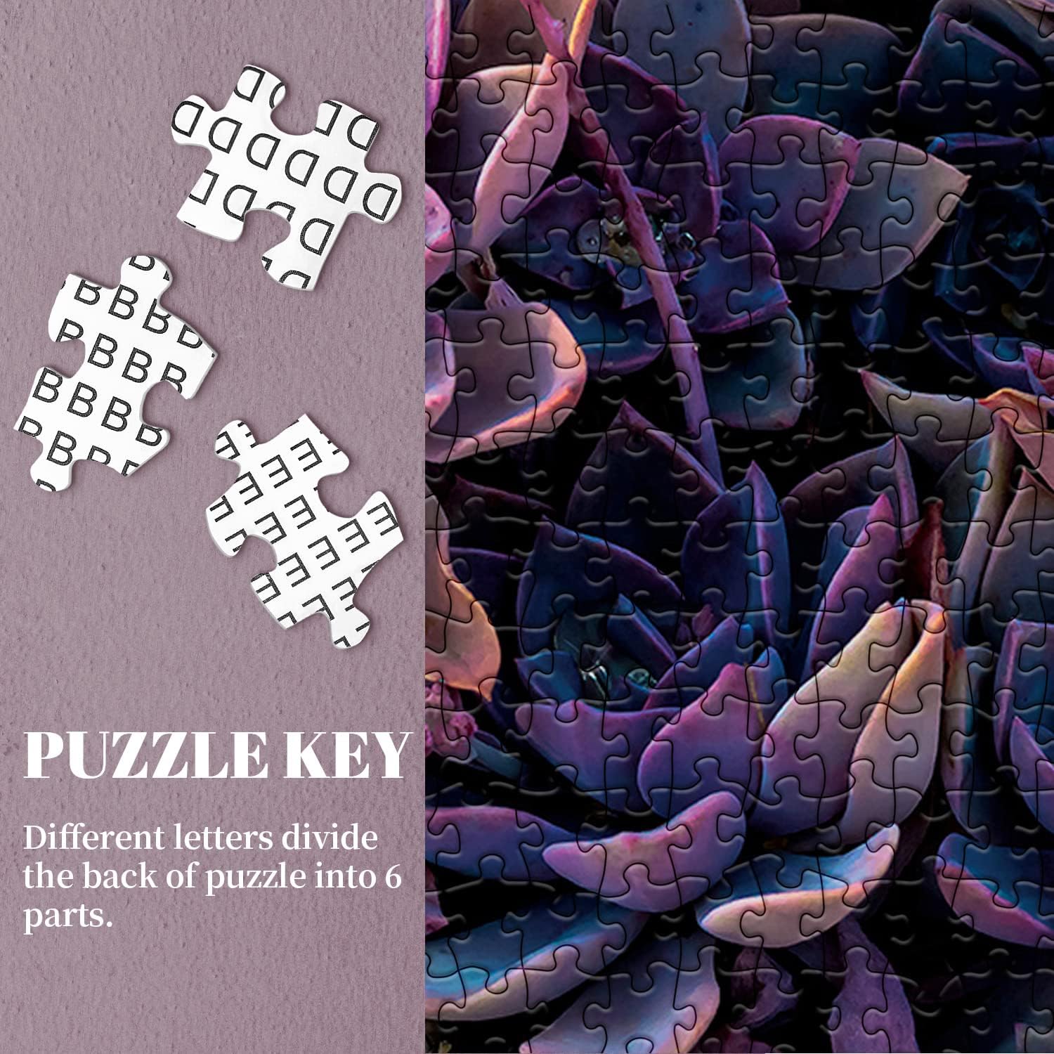 Impossible Purple Succulent Jigsaw Puzzle 1000 Pieces
