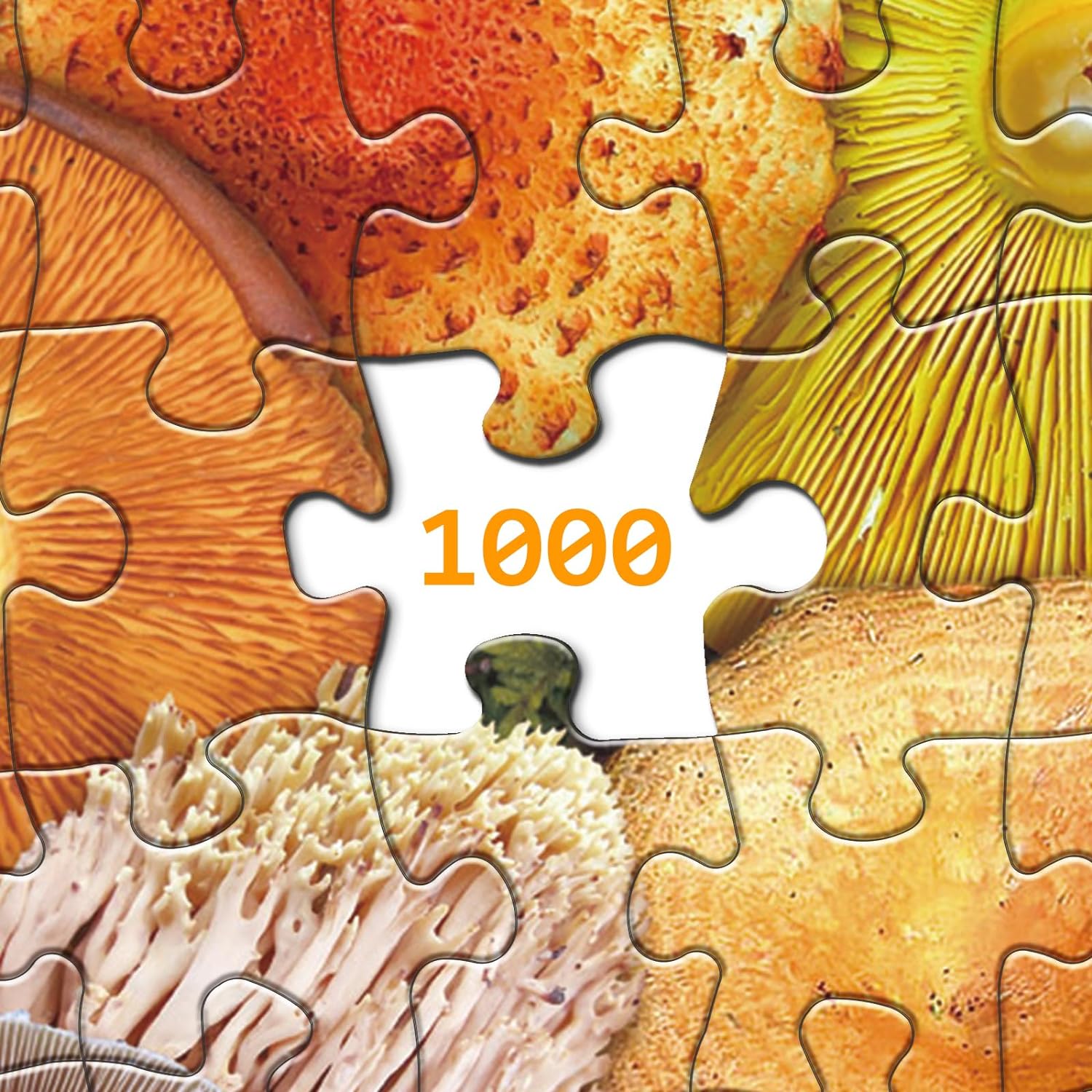 Rainbow Fungi Jigsaw Puzzle 1000 Pieces