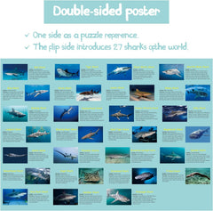 Pickforu® Rompecabezas de tiburones con tema oceánico, 1000 piezas