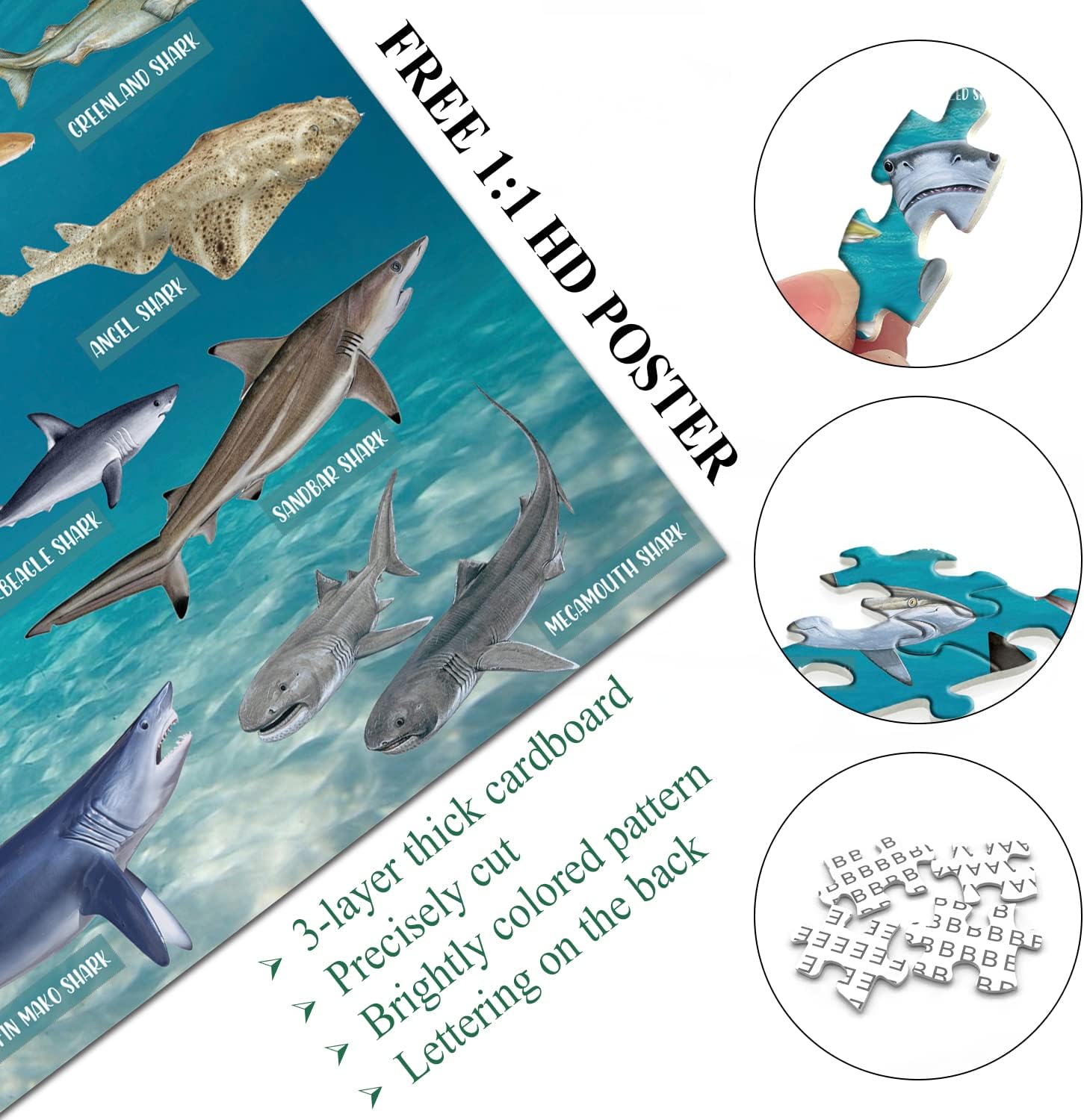 Pickforu® Ocean Theme Shark Jigsaw Puzzle 1000 Pieces