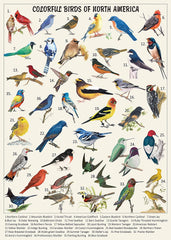 Pickforu® Vintage-Vogel-Puzzle für Erwachsene, 1000 Teile