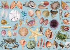 Ocean Theme Shells Jigsaw Puzzles 1000 Pieces
