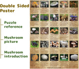 Pickforu® Vintage Mushroom Jigsaw Puzzle 1000 Pieces