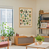 Pickforu® Vintage Succulent Jigsaw Puzzle 1000 Pieces