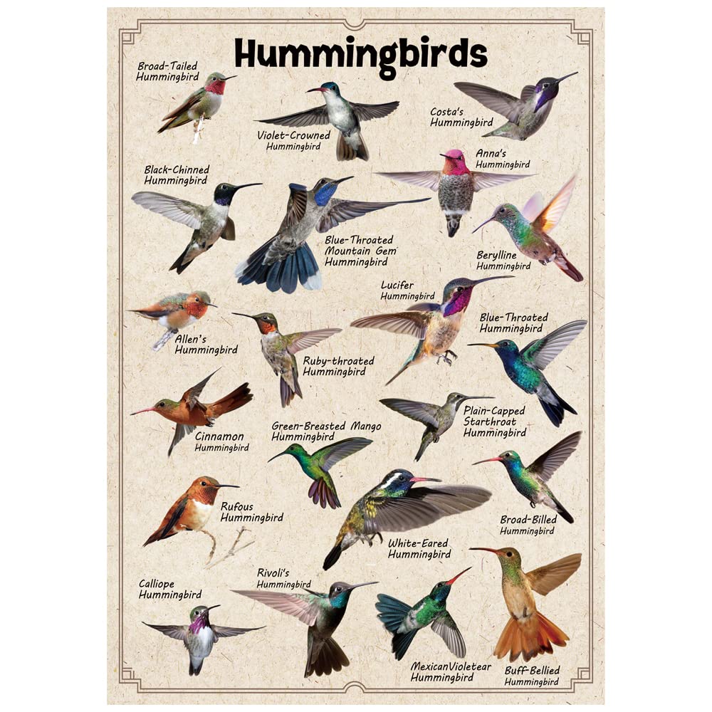 Pickforu® Hummingbirds Jigsaw Puzzles 1000 Pieces
