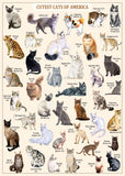 Pickforu® Cutest Cats Jigsaw Puzzle 1000 Pieces